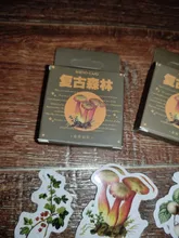 46 unids/caja Retro serie de bosques planta de decoración pegatinas planificador Scrapbooking papelería coreana pegatinas diario