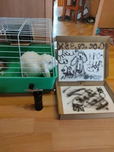 Juego de Mini aerógrafo inalámbrico multiusos, bomba de pulverización Gen Pen, compresor de aire portátil, modelo de pintura artística