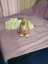 Coat Jumpsuit Clothing Puppy-Fleece Hoodie Apparel Pet-Dog Winter New Warm Velvet