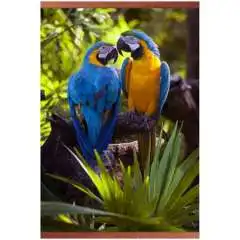 

Film infrared heater-picture "parrots", 500 W