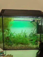 Luz LED RGB para acuario con enchufe europeo, barra de luz sumergible subacuática de colores, resistente al agua, lámpara acuática de 5050 SMD con mando a distancia