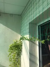 Nylon Net Netting-Support-Net Flower-Vine Climbing-Net Garden-Netting-Zxh Morning Glory