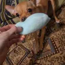 Toy Plush-Toy Pet-Supplies Cloud-Shaped Funny Cartoon Star for Dogs