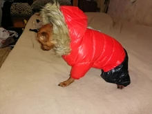 Ropa de invierno para mascotas, chaqueta cálida gruesa para perros pequeños y grandes, abrigo impermeable para cachorros, Chihuahua, Pug, Bulldog francés