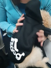 Adidog-ropa para perros pequeños, chaqueta con capucha deportiva de invierno, suéter de algodón suave abrigado puro, Chihuahua de peluche, ropa para cachorros