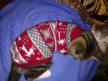 Pet Cat Reindeer Sweater Winter Warm Cat Clothes for Cats Kedi Outfit katten Clothing