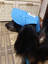 Sombrero para mascotas con agujeros para las orejas, gorra de béisbol ajustable para perros medianos pequeños, gorro para perro, para exteriores, senderismo, productos para mascotas