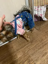 Jeans Clothing Jacket Coat Dog-Costume Puppy Dogs Small Denim Pet Medium for Chihuahua