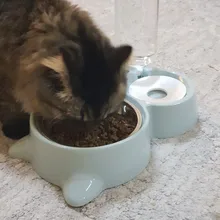 Bowls Feeder Drinking-Bowl-Dispenser Hoopet-Bottle Dogs Small Water for Puppy-Cat Large