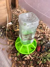 Nuevo reptil bebedor de agua dispensador comida lagarto de plato redondo de la botella de la bebida