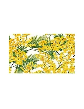 

DECOUPAGE PAPER NAPKINS WITH SIZE 50X70 CM 85 GR BRAND FONTORPIN MODEL MIMOSAS