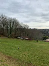 Mordedores de juguete para perros, discos voladores interactivos de goma suave, resistente a mordeduras, productos para entrenamiento de mascotas, 1 unidad