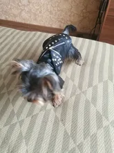 Pet Clothing Costumes Coat Kitten-Outfits Yorkshire Puppy Winter Warm Autumn for Chihuahua