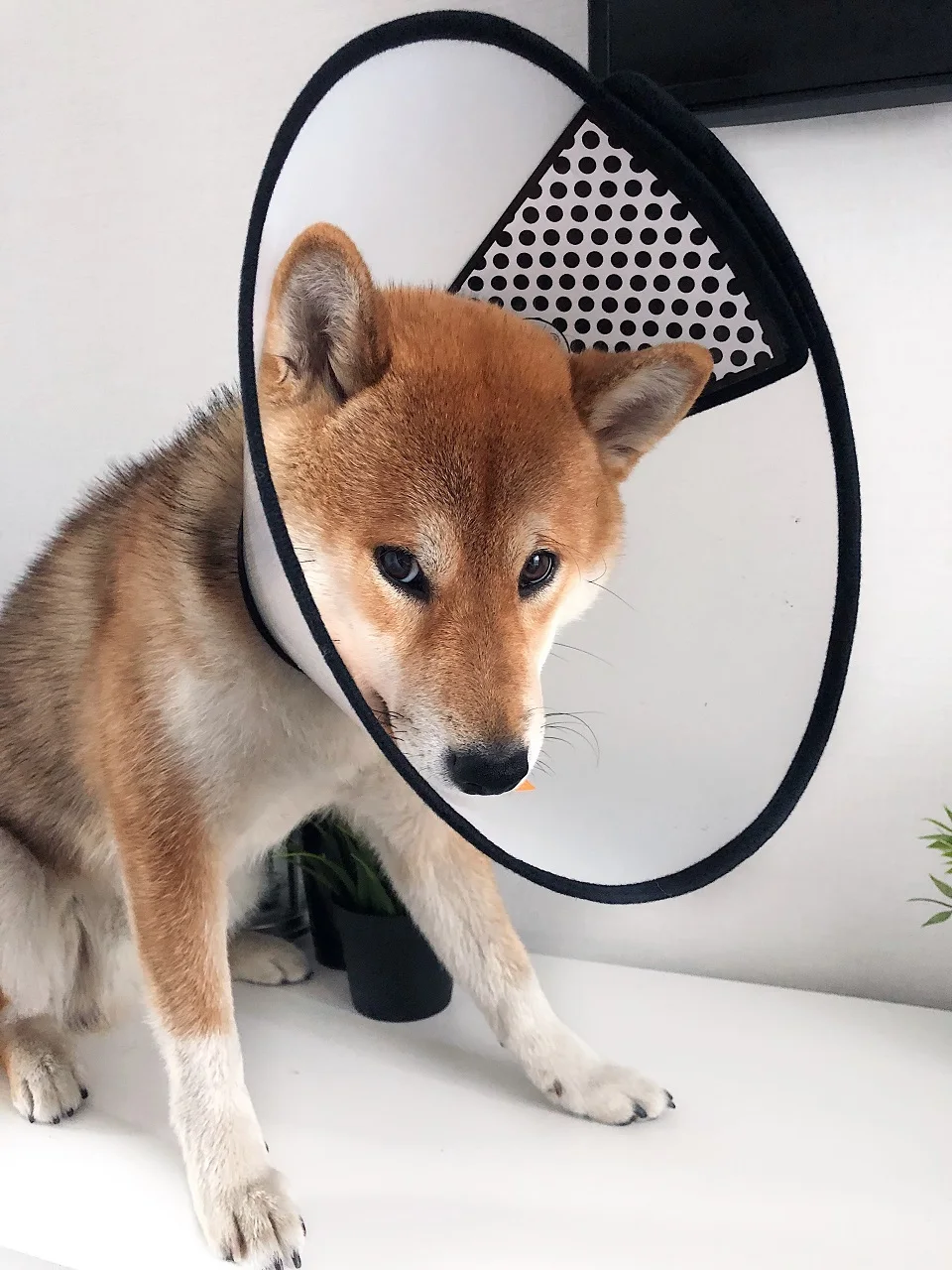 FullSizeRender-28-10-19-21-47-16