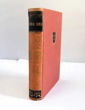 

Overarching Mola (The Conspirator)-Jorge Vigón