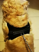 Arnés ajustable para perros y gatos, correa reflectante y transpirable, arnés tipo chaleco para perro y mascota