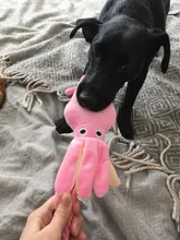 Calamar bonito y pequeño sonido de juguete de perro BB, mascota de peluche, cuerda de perrito, mordedores de juguete con sonido rosa para gato