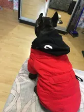 Jacket French Bulldog Dog Winter SUPREPET Coat Pet-Dog Dogs Large Cotton for Warm Perro