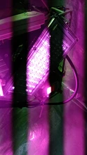 LED Grow Floodlight Seeding Plants-Tent Flower Phyto-Box Range-Lamp Light-Phytolamp Outdoor