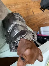 Ropa de abrigo para Perros Bulldog Francés, Ropa de cachorro, Chihuahua, yorkie, abrigo de perrito mascota, chaqueta, perros, mascotas