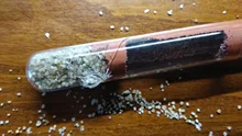 Luz de sombreado para queen ant, tubo de prueba de bambú para poner huevos, laberinto de granja de hormigas, arena natural, fácil de humectar, casa de hormigas
