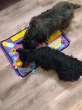 Blanket Activity-Mat Feeding-Mat Puzzle Dog-Snuffle-Mat Foraging Nosework Food-Training