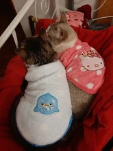 Abrigos para gato y cachorro de dibujos animados, chaqueta de lana cálida para perros pequeños, ropa de Chihuahua, ropa de Yorkshire, Otoño e Invierno