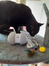 Toy Cats Feather-Toys Kitty-Balls Pet-Game Led-Light Rotating-Mode Interactive Funny