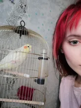 EYESHARE 2 unids/par Flor de hielo lentes de contacto cosméticos lentes Color de ojos 14,5mm