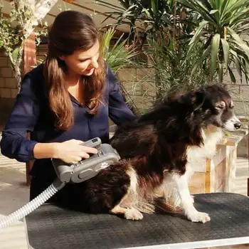 

CARDA AUTODOG BRUSH spare-auto BRUSH