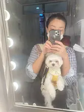 Bags Backpack Pet-Dog-Carrier Travel-Products Small Dog Chihuahua Outdoor Breathable