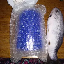 Self-Groomer-Toy Massage-Device Cat Catoy Pet-Cat with for Hair-Removal-Brush Dogs Comb