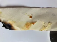 Velas de oídos para la eliminación de cera de los oídos, vela cónica de relajación Natural, propóleos, fragancia de terapia de Indiana, 10 Uds.