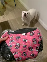 XS-XXL-Pantalones fisiológicos para perros, bragas sanitarias lavables para perros, pantalones cortos, ropa interior