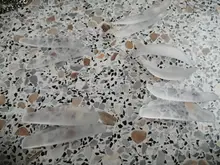 Almohadilla permanente de pestañas, 5 pares, S, M, M1, M2, L, flor, varillas de permanente, escudo para levantamiento de pestañas, herramientas de rizado, venta al por mayor