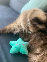 Toy Plush-Toy Pet-Supplies Cloud-Shaped Funny Cartoon Star for Dogs