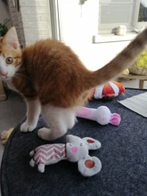 Cat Toys Interactive Ball Catnip Cat Training Toy Pet Playing Ball Pet Squeaky Supplies