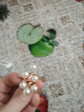 Anillo chapado en oro para mujer, elegante perla de imitación, anillos de apertura ajustables