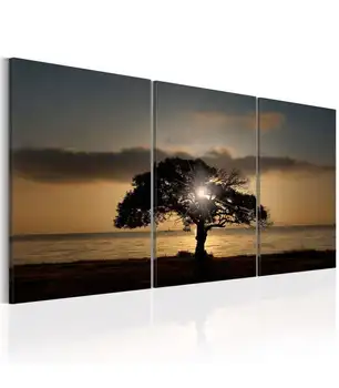 

Table-Extraordinary Nature