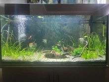 Led-Lamp Dimmer Fish-Tank-Light Aquarium Sunrise Sunset Marine Automatic Full-Spectrum