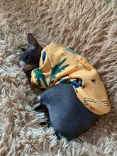 Ropa de gato para gatos, disfraz de gato de invierno, Sudadera con capucha, suéter, ropa de cachorro mascota, productos para gatos