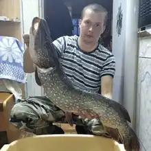 Travel Fishing-Rod Casting-Spinning-Lure Fuji HURRICANE Baitcasting Obei Ultra-Light