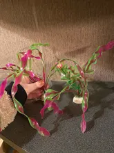 Plantas artificiales subacuáticas decoración de Acuarios y Peceras, decoraciones de visualización de césped verde y morado de 37CM