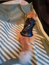 Pet Clothing Costumes Coat Kitten-Outfits Yorkshire Puppy Winter Warm Autumn for Chihuahua