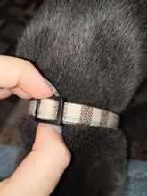 Collar de seguridad ajustable para gatos con cierre a presión, Material de algodón con campana, no mantiene el cuello, productos para cachorros de Mascota, Collar