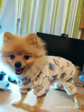 Pet Clothing Costume Outfit Pajamas Fleece Winter Apparel Small Warm 30 Four-Legs Jumpsuit
