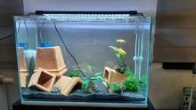 Led-Lighting-Lamp Dimmer Timer Fish-Tank-Light Aquarium Planted NICREW for 32-74cm 110V-240V