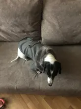 De lujo de invierno chaqueta perro cachorro perro ropa para mascotas ropa de perro abrigo Denim Jeans traje Chihuahua caniche mascota Bichón ropa 35S1