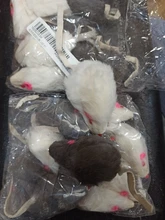 False-Mouse Simulation-Mice Noise-Playing-Toys Rabbit-Fur Kitten For Cats Pet-Supplies