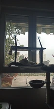 Bearing Hammock Cat Balcony Climbing Waterproof Sleeping-Mattress Cat-Bed-Cat Pet Fabric